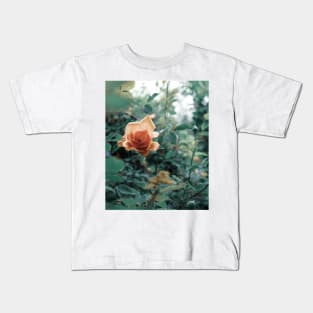 David Austin Lady of Shalott Peach Heirloom Roses Kids T-Shirt